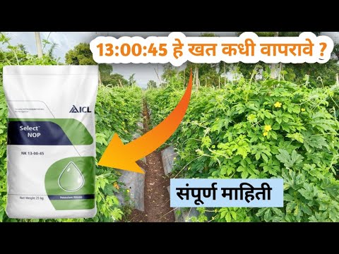 ICL 13:00:45 FERTILISER | ICL FERTILISER | 13_00_45 FERTILISER