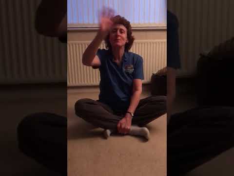 There's a dinosaur song with Sam H