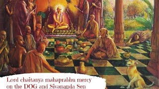 C.C Antya Lila Ch- 1|Mahaprabhu's mercy on the Dog , Sivananda sen|H.H. Bhakti Gaurav Narayan Swami