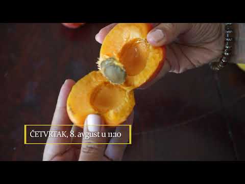 Autohtone vrste Srbije ep. 24 08.08.2019. NAJAVA