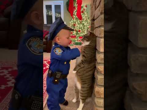 This Cat Is Not Built for Interrogation