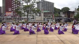 第11回黒崎よさこい祭り2019