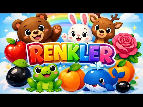 RENKLERİ TANIYALIM - EĞİTİCİ ÇOCUK VİDEOLARI 🌈 🎨