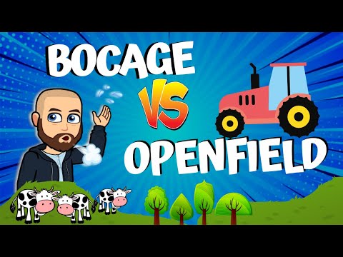 PAYSAGES RURAUX : BOCAGE ou OPENFIELD ?