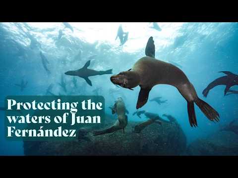 Juan Fernandez UNOC announcement