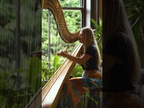 Play Video Youtube Video