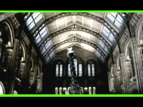 Chemical Brothers - Hey Boy Hey Girl Video Edit by dj Antonio 100