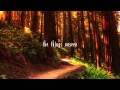 Run River North - Foxbeard Lyrics 