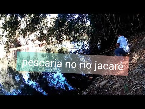 pescaria rio jacaré   Guaçu em gavião Peixoto