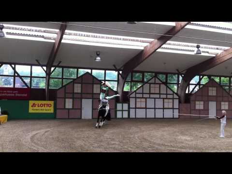 CVI Krumke 2012 Pas de Deux