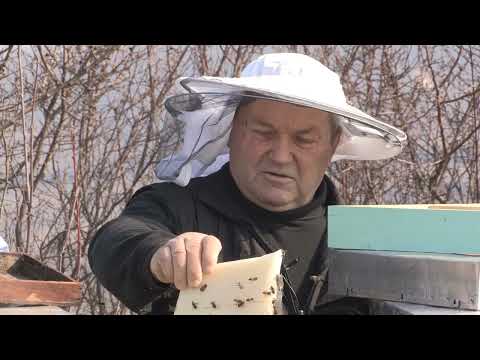 Boja meda ep. 342 24.09.2024. Mikroklima košnice, skladištenje meda