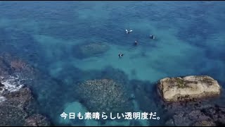 葉山ダイビングサービス