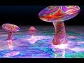 Infected Mushroom - Sailing in the Sea of Mushroom [Visualization]