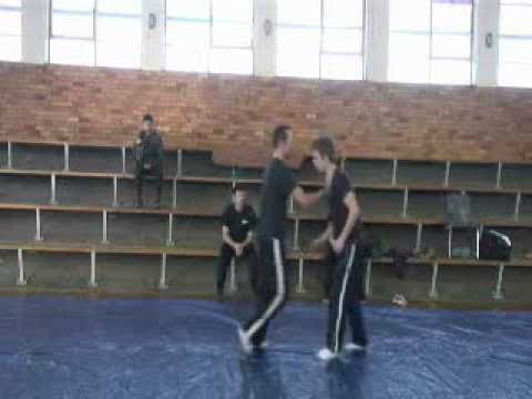 Kyusho SA  - Stomach-5 KO