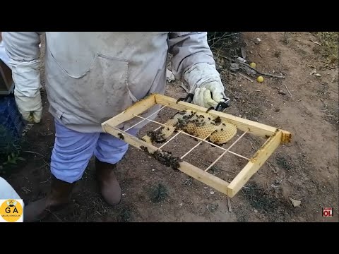 Çöp şişle yapılan karakovan çıtası.beekeeping. Arıçılıq. arıcılık ...