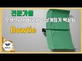 전문가용 오래날리기 비행기 bowtie 파종소 송의선