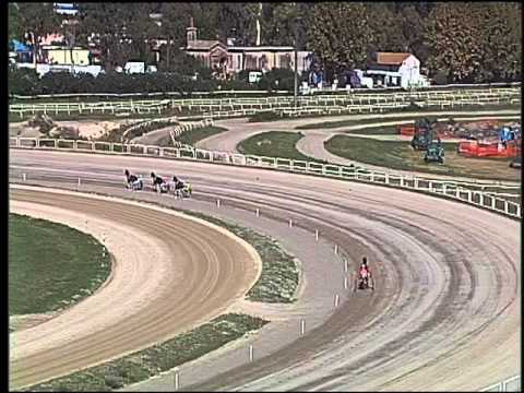 Trotto 04/10/2015 - 2° prova di qualifica