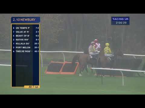 Native River wins the Bet365 novices chase 2015