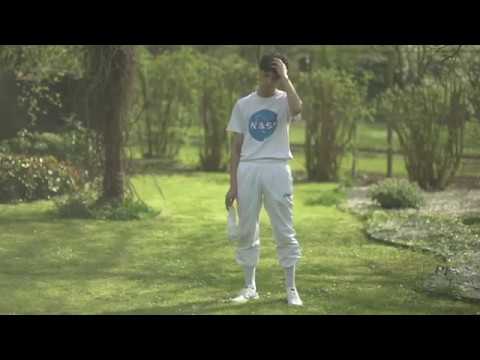 besonderblume - weiße taube