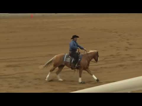 211023 Non Pro David Hutton on In Ur Wildest Dreams