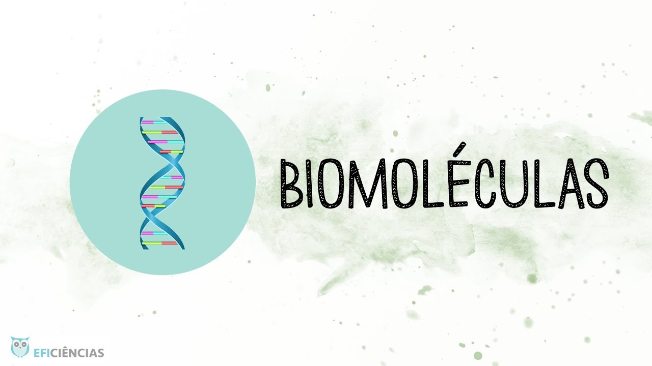 Biomoléculas - Biologia e Geologia 10ºano