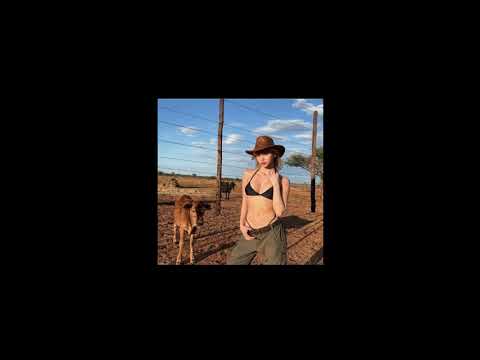 [FREE] SALUKI x ANIKV Type Beat 2025 - "BEACH ROCK HOTEL" | Indi-rock Instrumental (prod. berck)