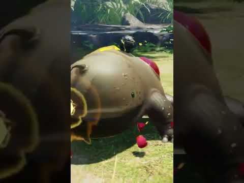タカラサンショウを爆殺してみた【ピクミン4 PIKMIN4】 #pikmin4 #pikmin #ピクミン