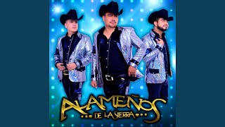 Flor De Dalia & Me Estoy Jugando La Vida Lyrics English Translation