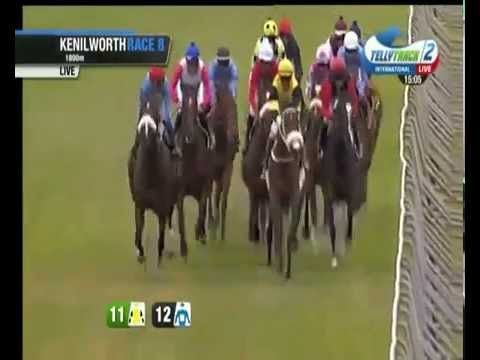 2015.01.10 Paddock Stakes - Inara