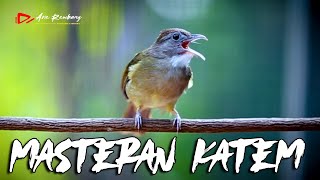 Download lagu MASTERAN KAPAS TEMBAK GACOR SUPER PEDAS mp3