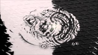 Cirkels - Herman Van Veen