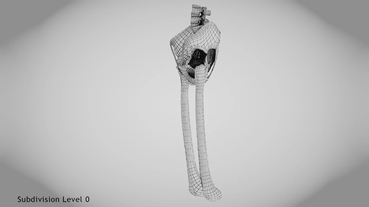 Pelvic Replacement Implant 3D Model