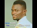 ƐYƐ NOKWASƐM PEFEE By AKAAK
