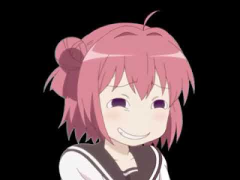 The  Stupid Asshole Song for Lynda 