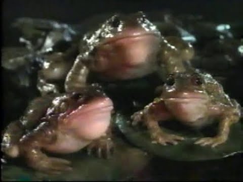 1990s TV Commercials: Volume 591 - March 2, 1997