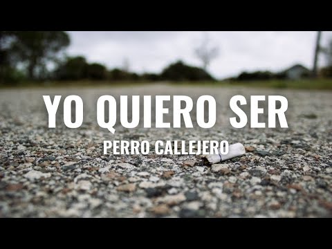 Perro Callejero - Yo Quiero Ser (Letra Oficial)