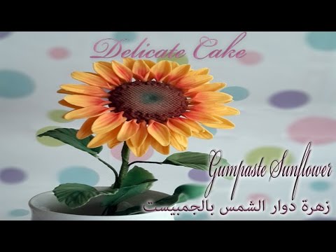 زهرة دوار الشمس بالجمبيست اعلان تشويقى Gumpaste sunflower teaser trailer