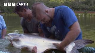 Tug-of-War With a 50-Kilo Giant Catfish | Fishing Impossible | The Travel Edit