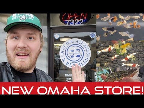 New Store! Visiting Blue Dog Aquatics and Reptiles!