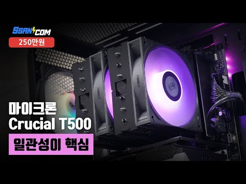 일관성이 핵심 | 라이젠 5 9600X + RTX 5070 + darkFlash DS500 RGB + PCCOOLER CPS RT620A ARGB [싼컴 조립PC]