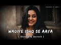Wadiye Ishq Se Aaya Slowed Reverb Alkayagnik Slowedandreverb 90s Lofisong