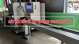 Máy cắt khuyết tật vạch phấn Woodmaster, cắt tối ưu, phân loại phôi WM-S260