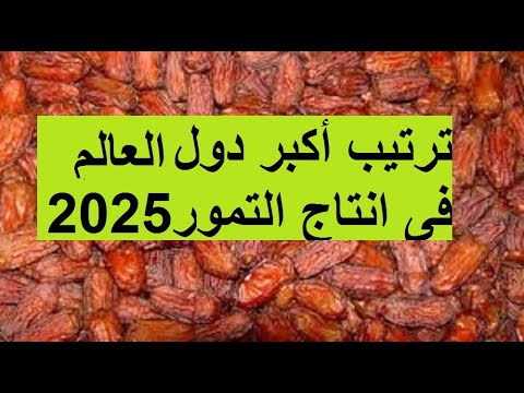 ترتيب دول العالم فى انتاج التمر 2025