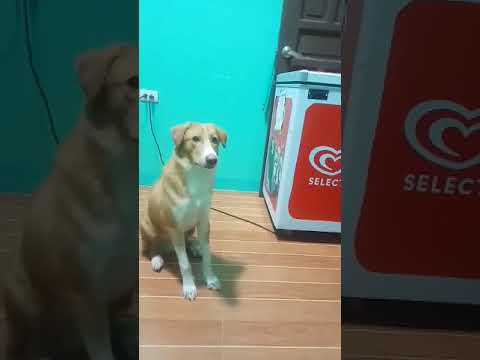 Bawal lumabas 😂🥰