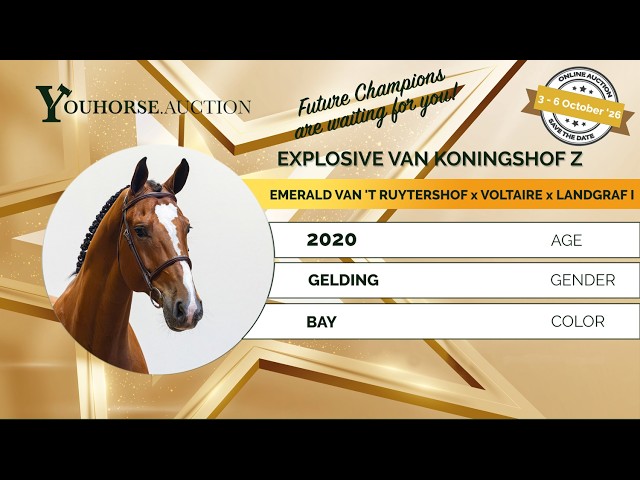 Explosive van Koningshof Z