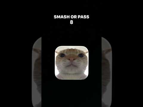 I like all cats though