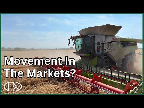 Harvesting on the Road in Lincolnshire, and the Team's Verdict on the CR11