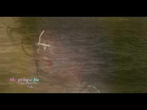 Như gió bay về đâu - Tuấn Ngọc