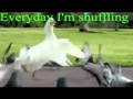 Everyday I'm Shuffling - Goose (1 hour) 