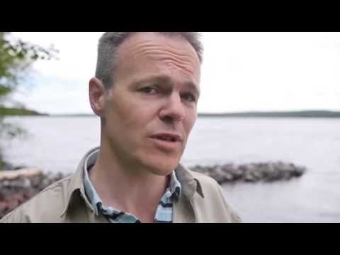 Ostadigt väder fram till fredag